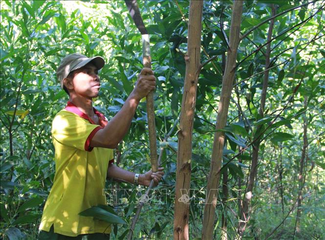 Xã Ea Trang Đắk Lắk