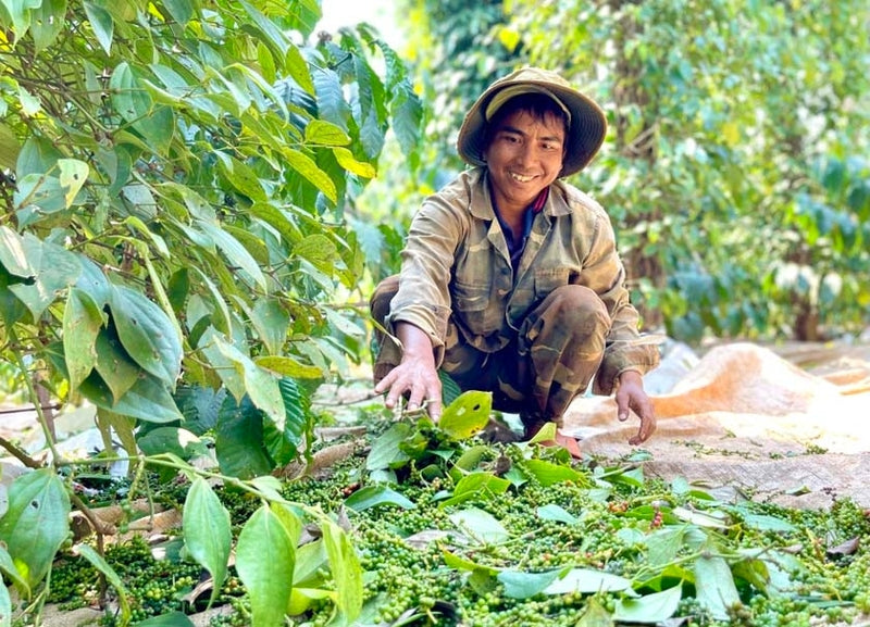 Xã Hòa Mỹ Đắk Lắk