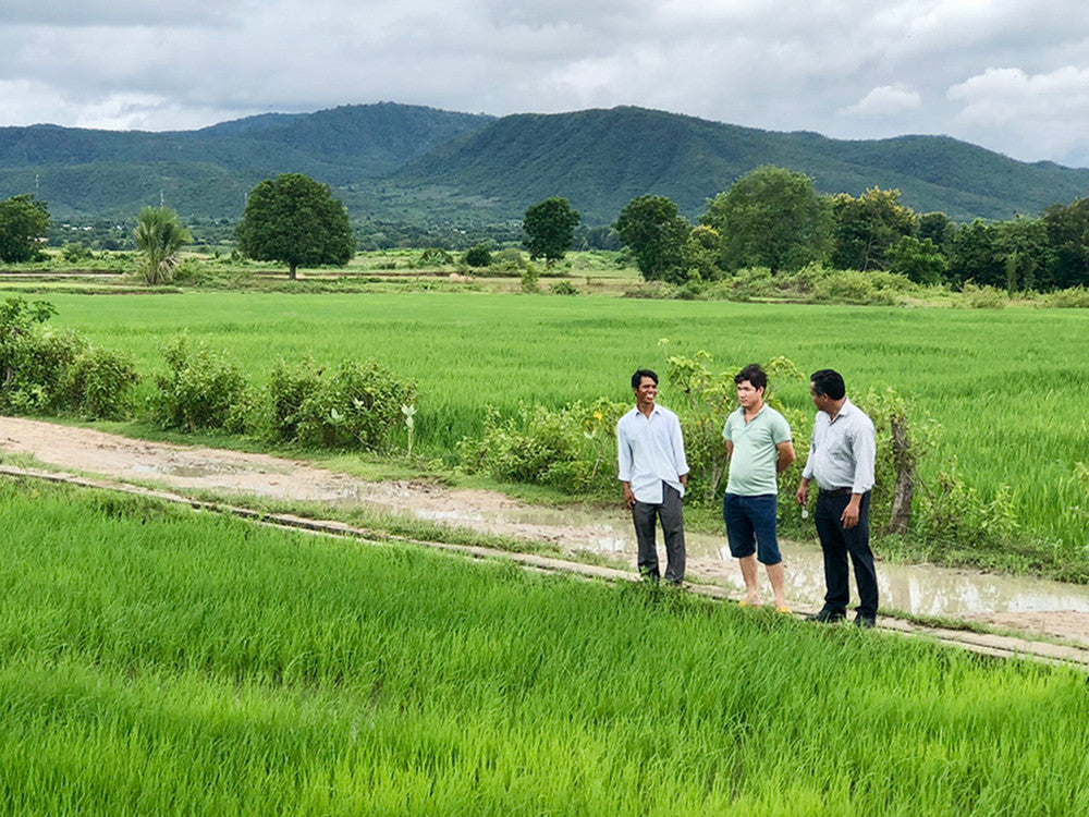 Xã Krông Pa Đắk Lắk