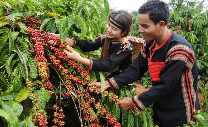 Xã Quảng Phú Đắk Lắk