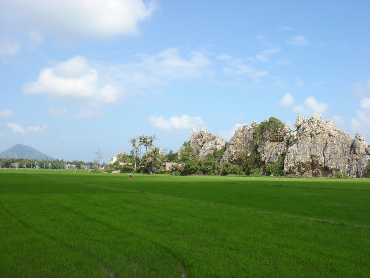 Xã Sơn Thành Đắk Lắk