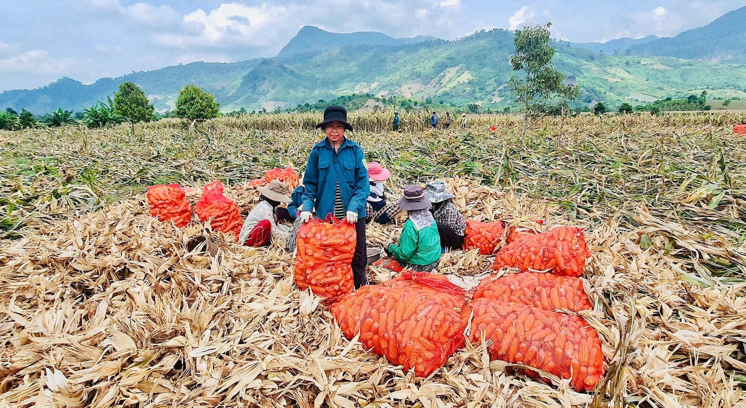 Xã Yang Mao Đắk Lắk