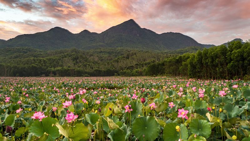 Duy Xuyên: Khám phá vẻ đẹp ở Quảng Nam