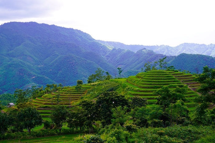 Khám phá Mường Lát: Thiên đường giữa lòng Tây Bắc