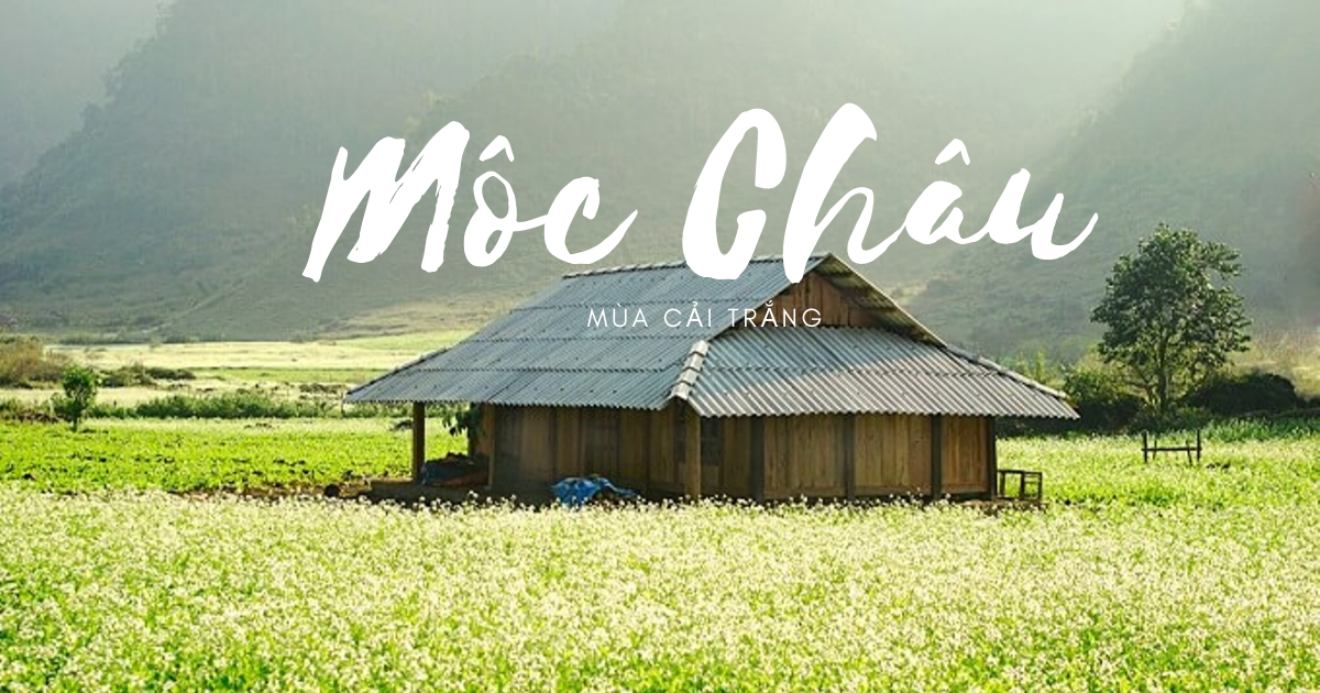 Mộc Châu: Bản Hòa Tấu Xanh Mát Của Núi Rừng Tây Bắc