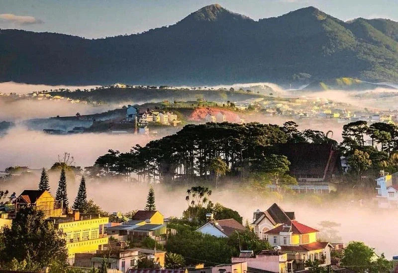 &nbsp;Khám Phá Lâm Đồng: Vùng Đất Của Ngàn Hoa và Cao Nguyên Bạt Ngàn