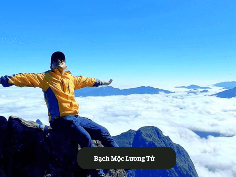  Bạch Mộc Lương Tử