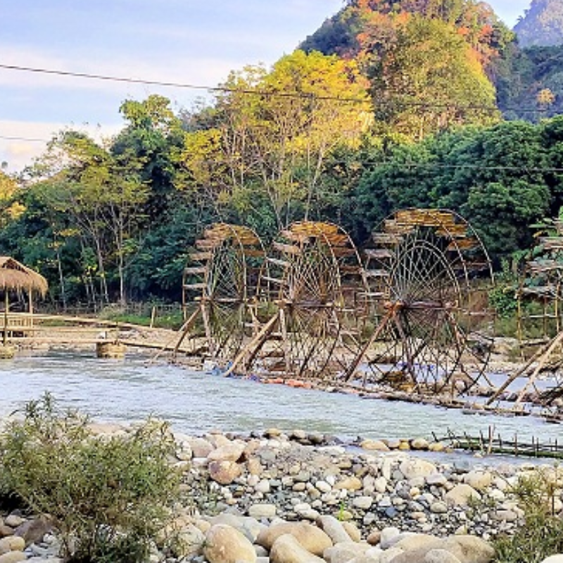 Bản Vàng Pheo