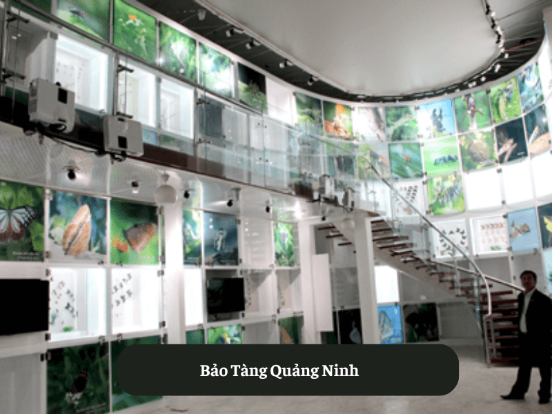 Bảo Tàng Quảng Ninh
