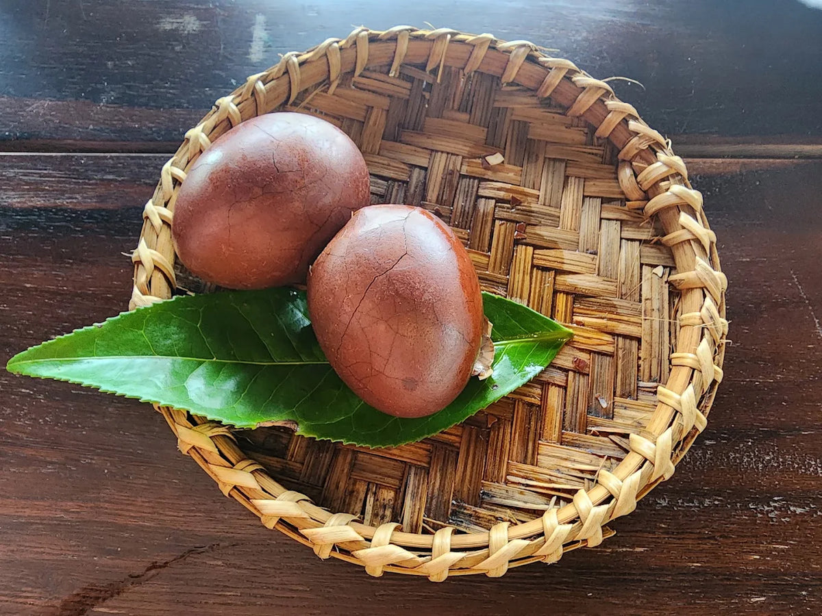 Bảo Tàng Trà Long Đỉnh Đà Lạt