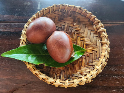 Bảo Tàng Trà Long Đỉnh Đà Lạt