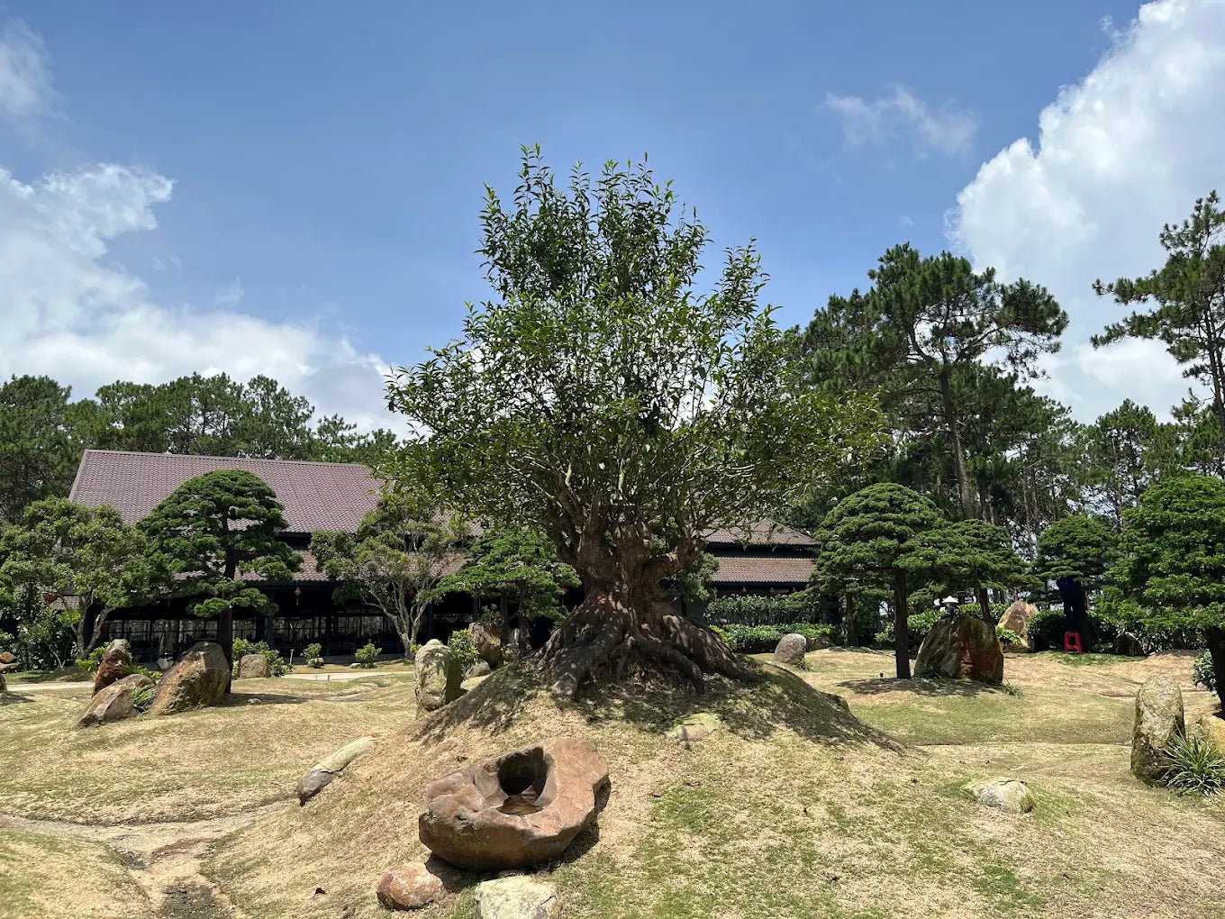 Bảo Tàng Trà Long Đỉnh Đà Lạt