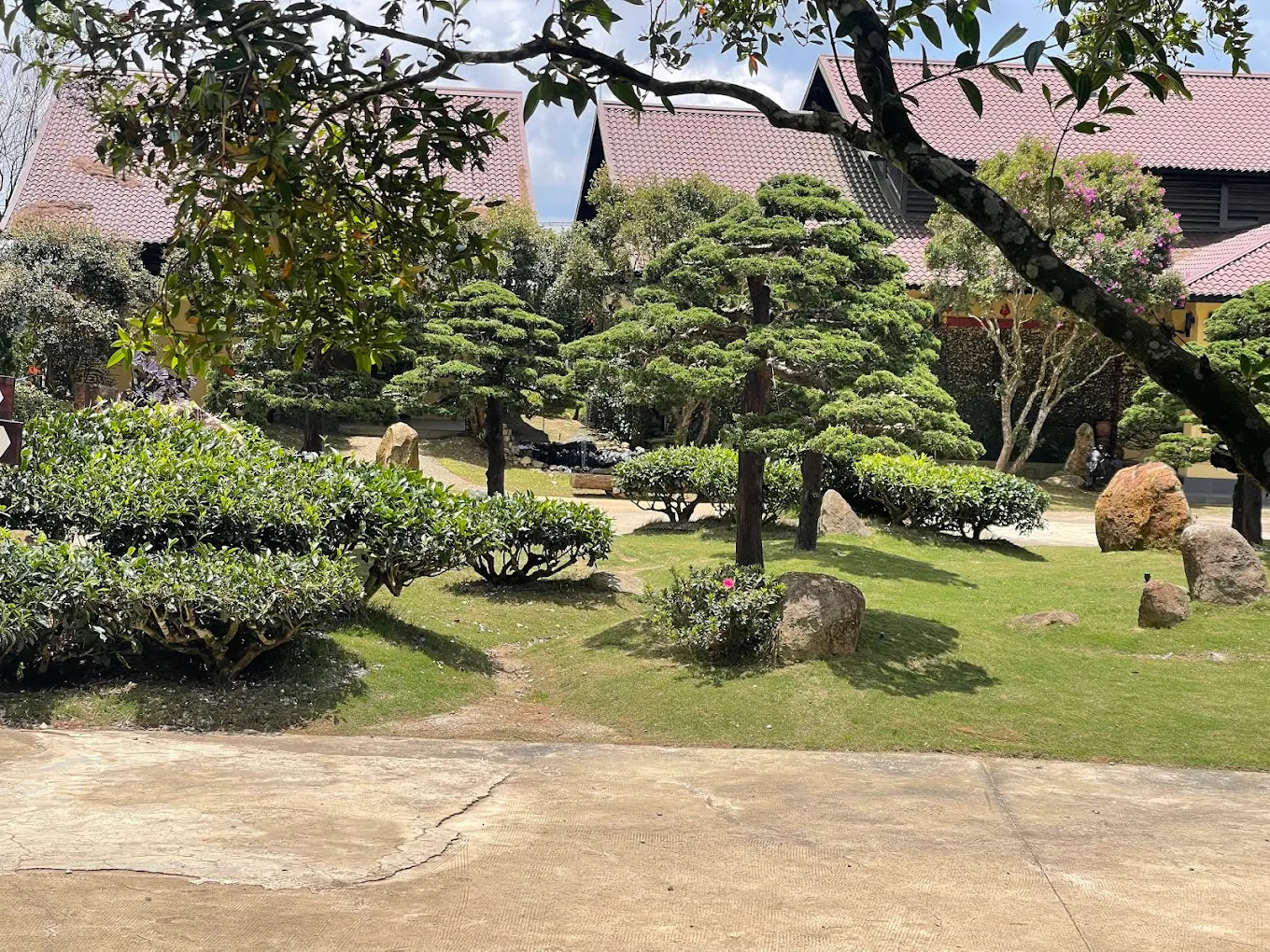Không Gian Văn Hóa Trà Đạo Và Trải Nghiệm Hương Vị Ô Long Thượng Hạng