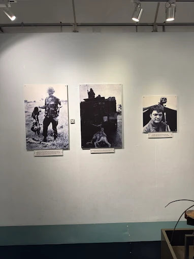 Bảo tàng Chứng tích Chiến tranh