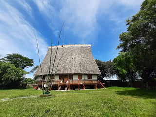Bảo tàng Quang Trung