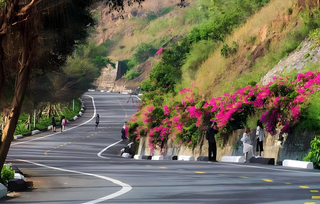 Localtrips.ORG – Chuyên Gia Nội Dung Du Lịch Tại Đà Nẵng