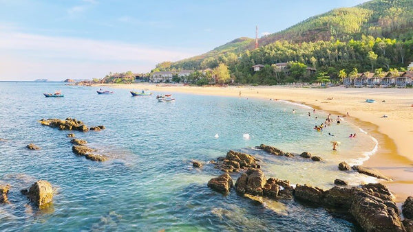 Bãi Bàng Quy Nhơn