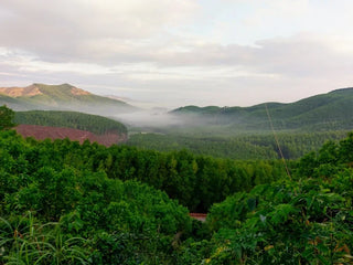 Bãi Biển Lộ Diêu