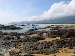 Các Dịch Vụ Lưu Trú Tại Lộ Diêu: Từ Cắm Trại Đến Homestay Bản Địa