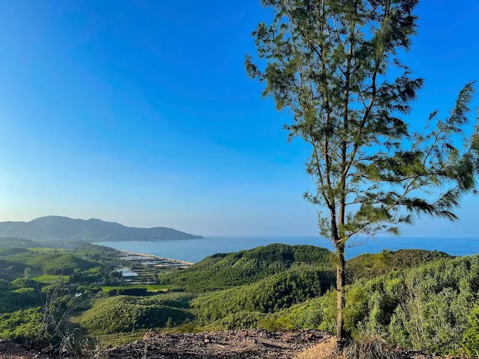 Bãi Biển Lộ Diêu