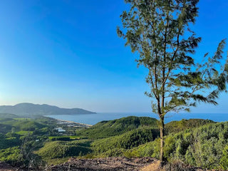 Bãi Biển Lộ Diêu