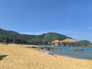 Lịch Sử Bãi Biển Lộ Diêu: Di Tích Tàu Không Số Và Đường Hồ Chí Minh Trên Biển