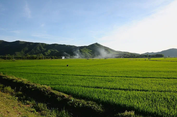 Kinh Tế Biển Lộ Diêu: Sự Chuyển Mình Sang Du Lịch Bền Vững