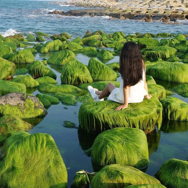 Bãi Cổ Thạch