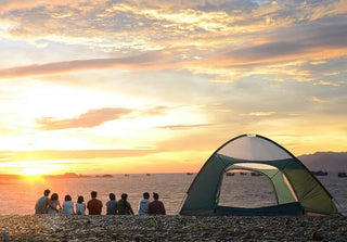 Localtrips.ORG – Chuyên Gia Tư Vấn Khám Phá Sơn Trà