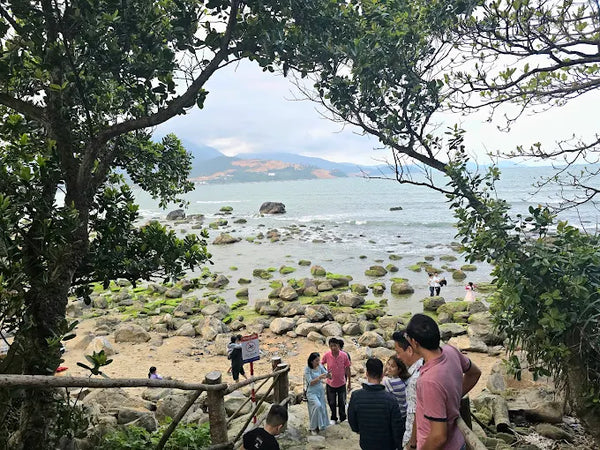 Bãi Tắm Nam Ô Đà Nẵng