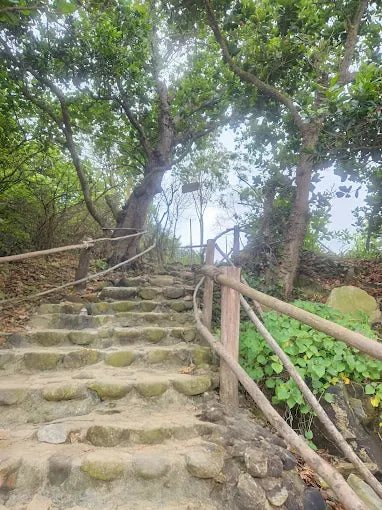 Những Trải Nghiệm "Đánh Thức Cảm Xúc" Tại Nam Ô