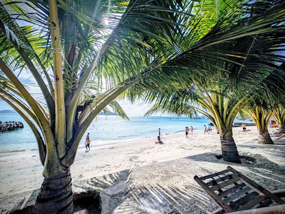 Bãi Tranh Nha Trang