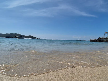 Các Tình Huống Du Lịch Thực Tế Tại Bãi Tranh Nha Trang