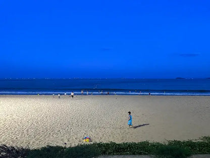 Kinh Tế Bãi biển Quy Nhơn, Bình Định Cũ, Gia Lai Mới