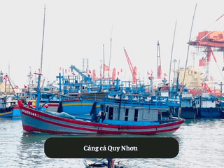 Cảng cá Quy Nhơn