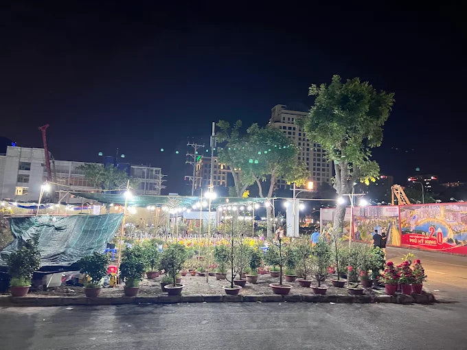 Starlight Bridge (Phu My Hung)