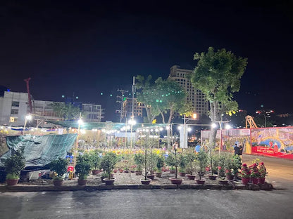 Starlight Bridge (Phu My Hung)