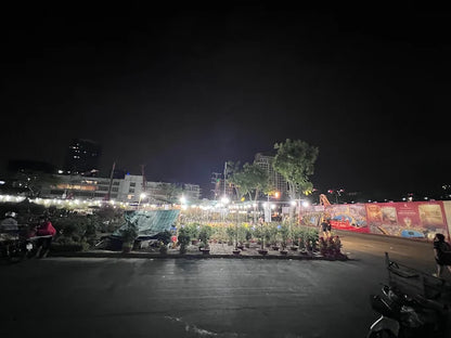 Starlight Bridge (Phu My Hung)