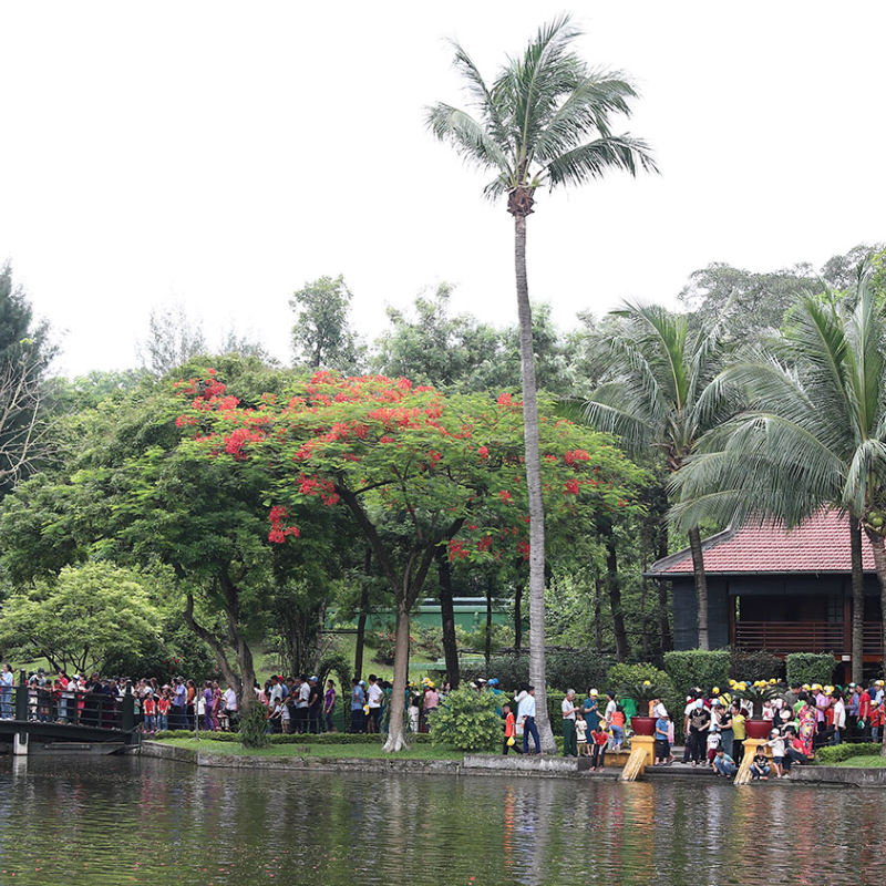 Các Chi Phí Khi Đi Đến Điểm Tham Quan Khu di tích Phủ Chủ tịch Ba Đình