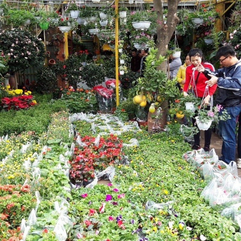 Các Chi Phí Khi Đi Đến Điểm Tham Quan Chợ Hàng
