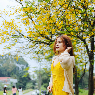 Các chi phí khi đi đến điểm tham quan Đường Hoa Điệp tại Hà Nội