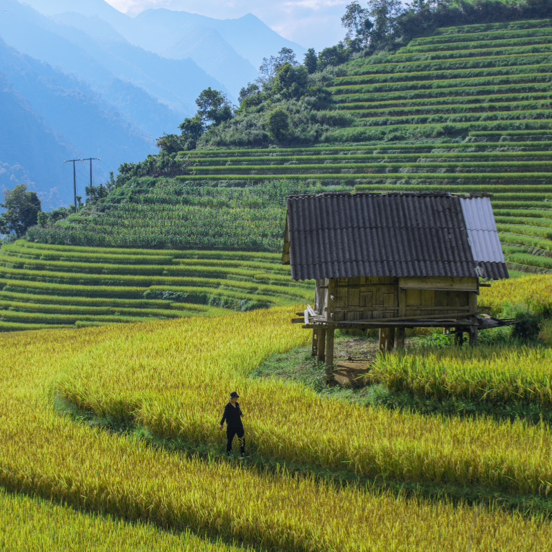 Các Chi Phí Khi Đi Đến Điểm Tham Quan Bản Lao Chải - Tả Van – Dự Trù Ngân Sách
