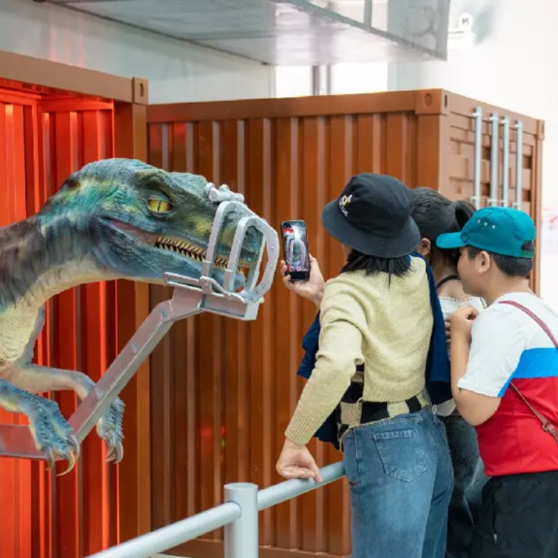 Các Chi Phí Khi Đi Đến Điểm Tham Quan Công Viên Khủng Long (Dino Park)
