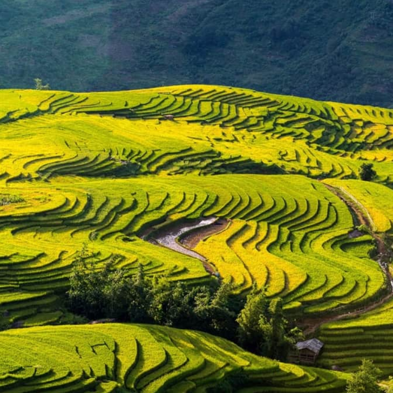 Các Chi Phí Khi Đi Đến Điểm Tham Quan Xã Y Tý
