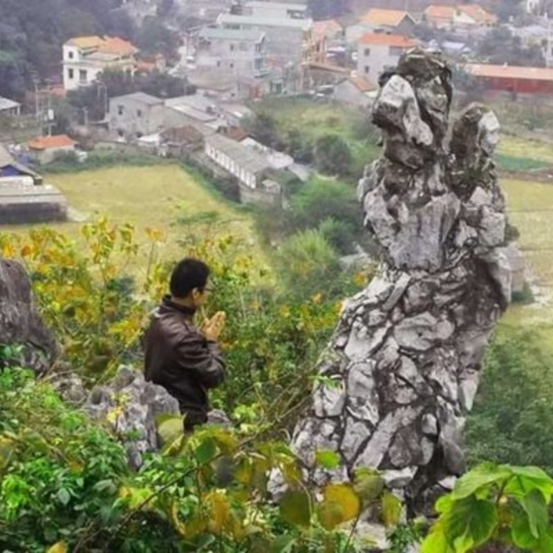 Các Chi Phí Khi Đi Đến Điểm Tham Quan Núi Tô Thị