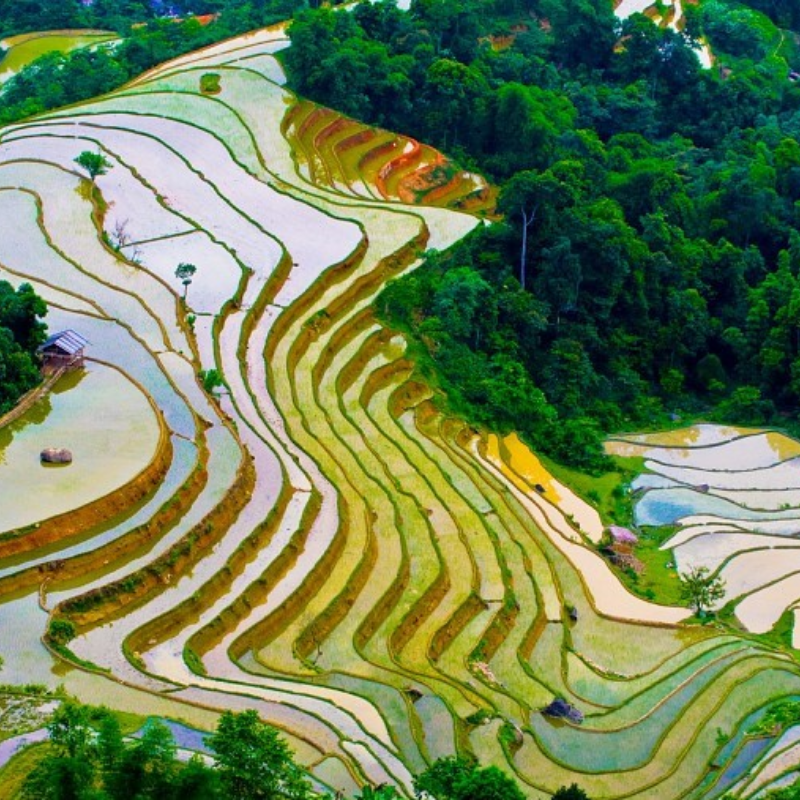 Các Chi Phí Khi Đi Đến Điểm Tham Quan Ruộng Bậc Thang Hoàng Su Phì - Dự Trù Chi Phí