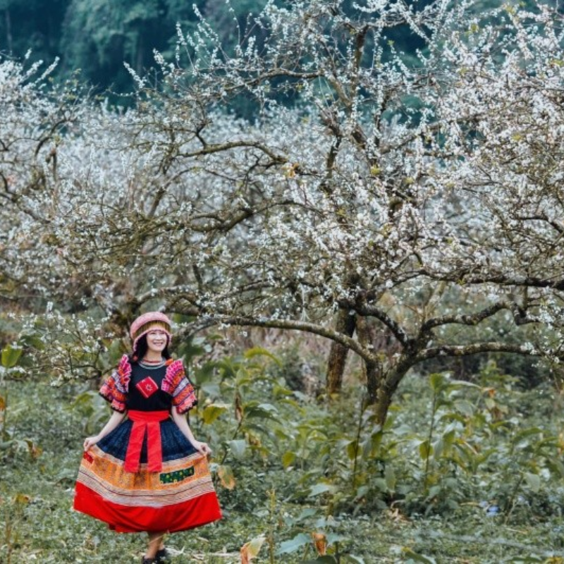 Các Chi Phí Khi Đi Đến Điểm Tham Quan Thung Lũng Mận Nà Ka, Giá Vé Thung Lũng Mận Nà Ka