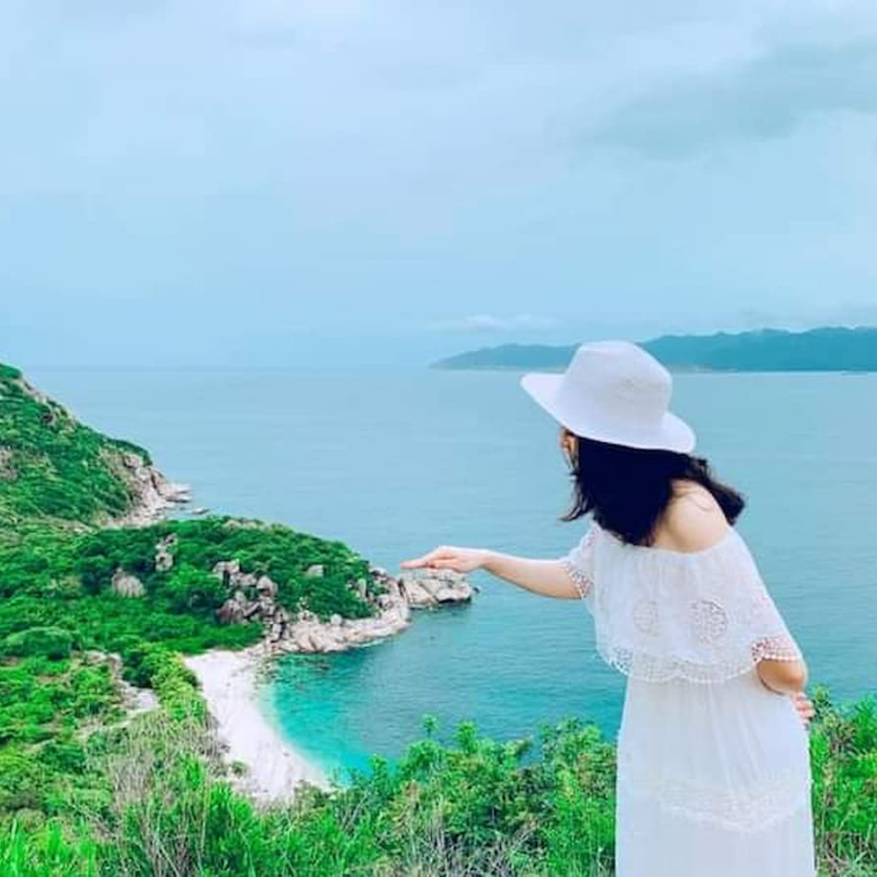 Các Chi Phí Khi Đi Đến Điểm Tham Quan Hòn Rùa
