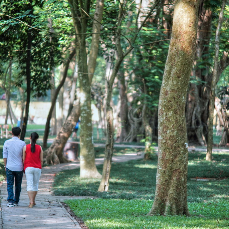 Các Chi Phí Khi Đi Đến Điểm Tham Quan Vườn Bách Thảo Hà Nội