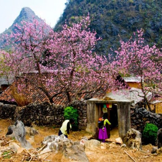 Các Chi Phí Khi Đi Đến Điểm Tham Quan Cao nguyên đá Đồng Văn